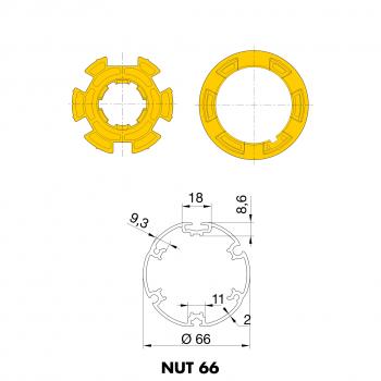 NUT 66