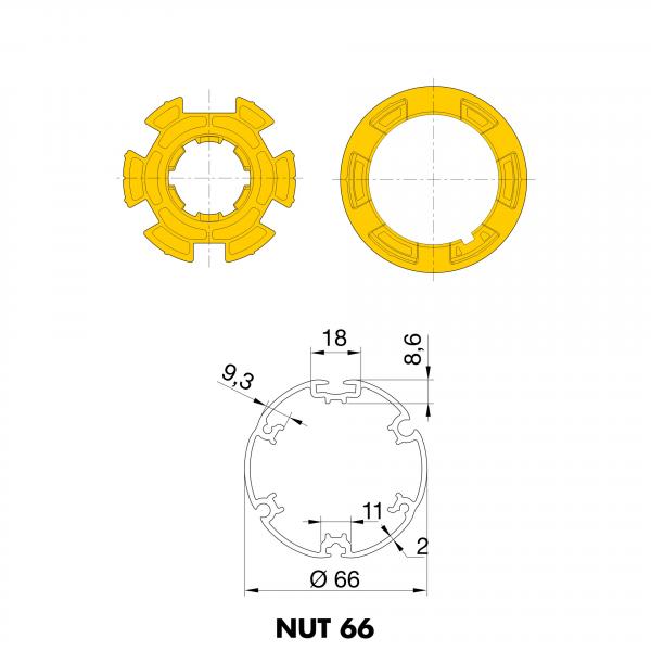 NUT 66